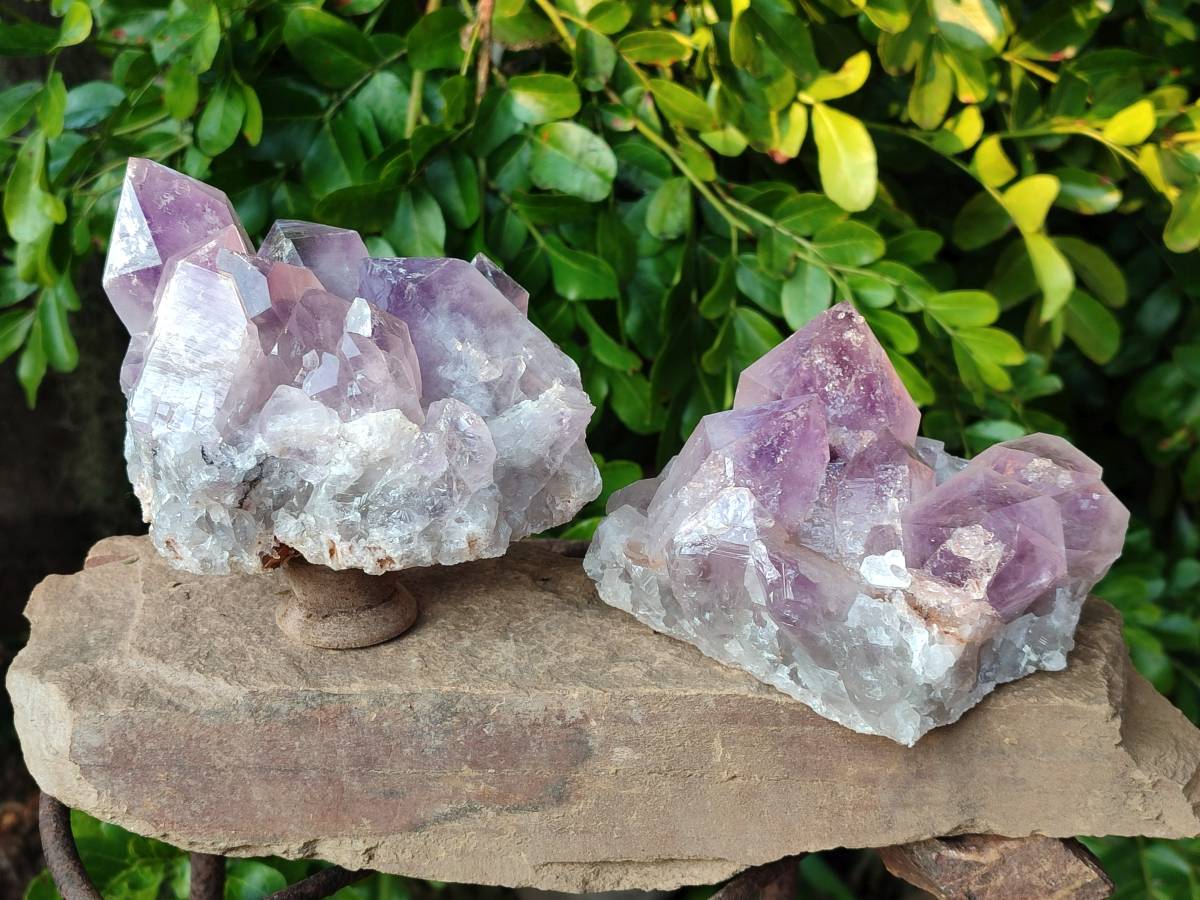 Natural Jacaranda Amethyst Quartz Clusters x 2 From Mumbwa, Zambia - Toprock Gemstones and Minerals 