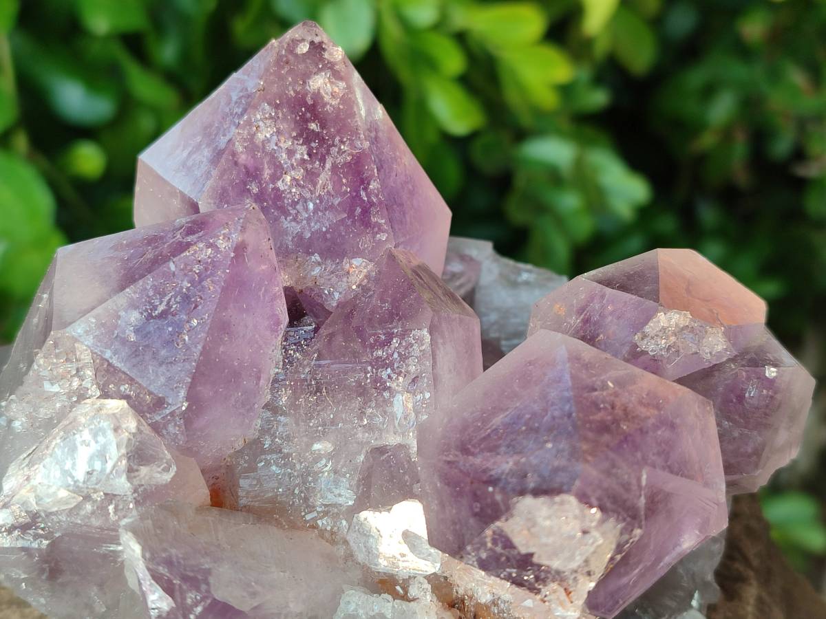 Natural Jacaranda Amethyst Quartz Clusters x 2 From Mumbwa, Zambia - Toprock Gemstones and Minerals 