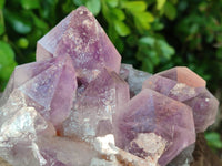Natural Jacaranda Amethyst Quartz Clusters x 2 From Mumbwa, Zambia