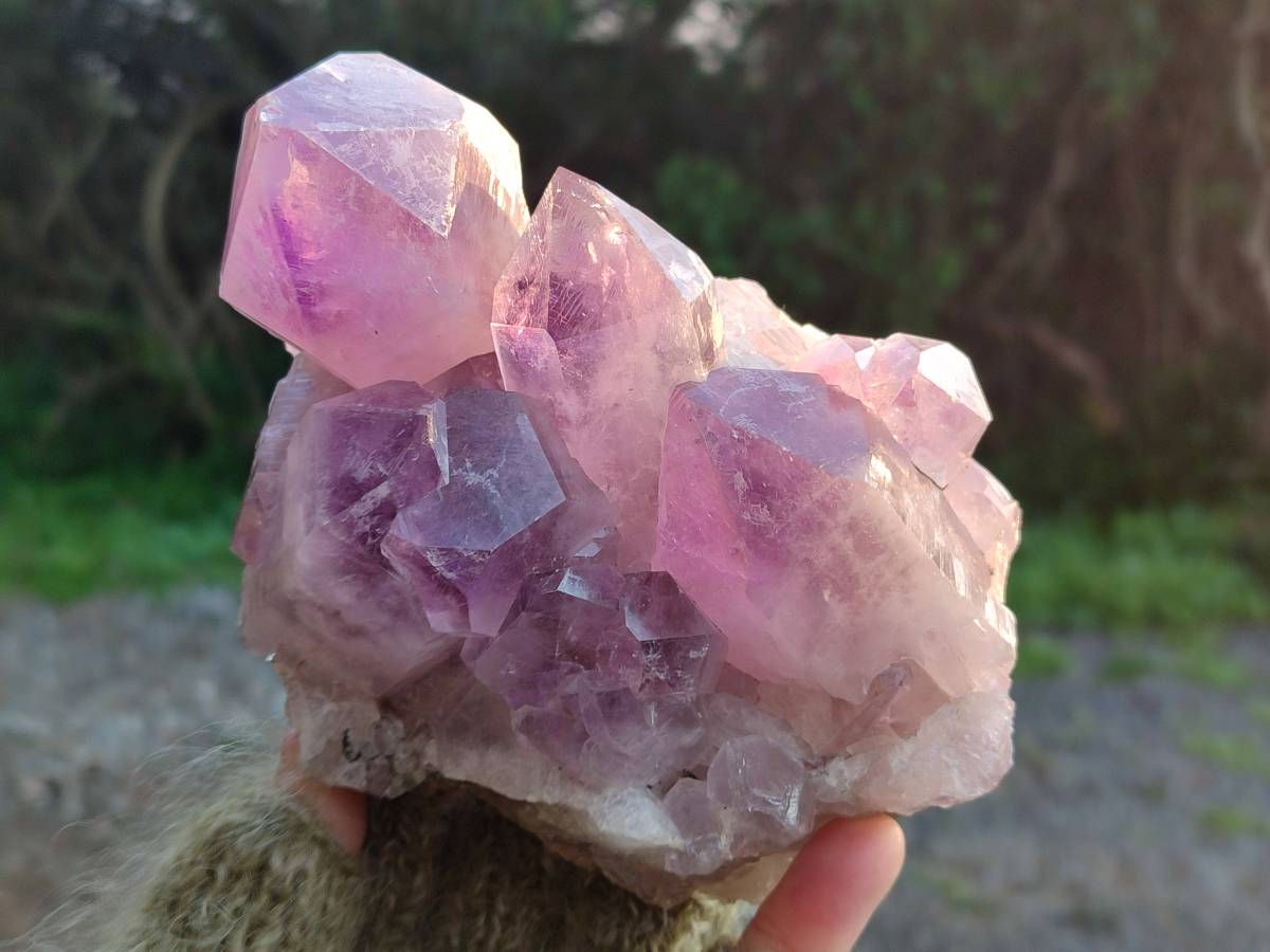 Natural Jacaranda Amethyst Quartz Clusters x 2 From Mumbwa, Zambia - Toprock Gemstones and Minerals 