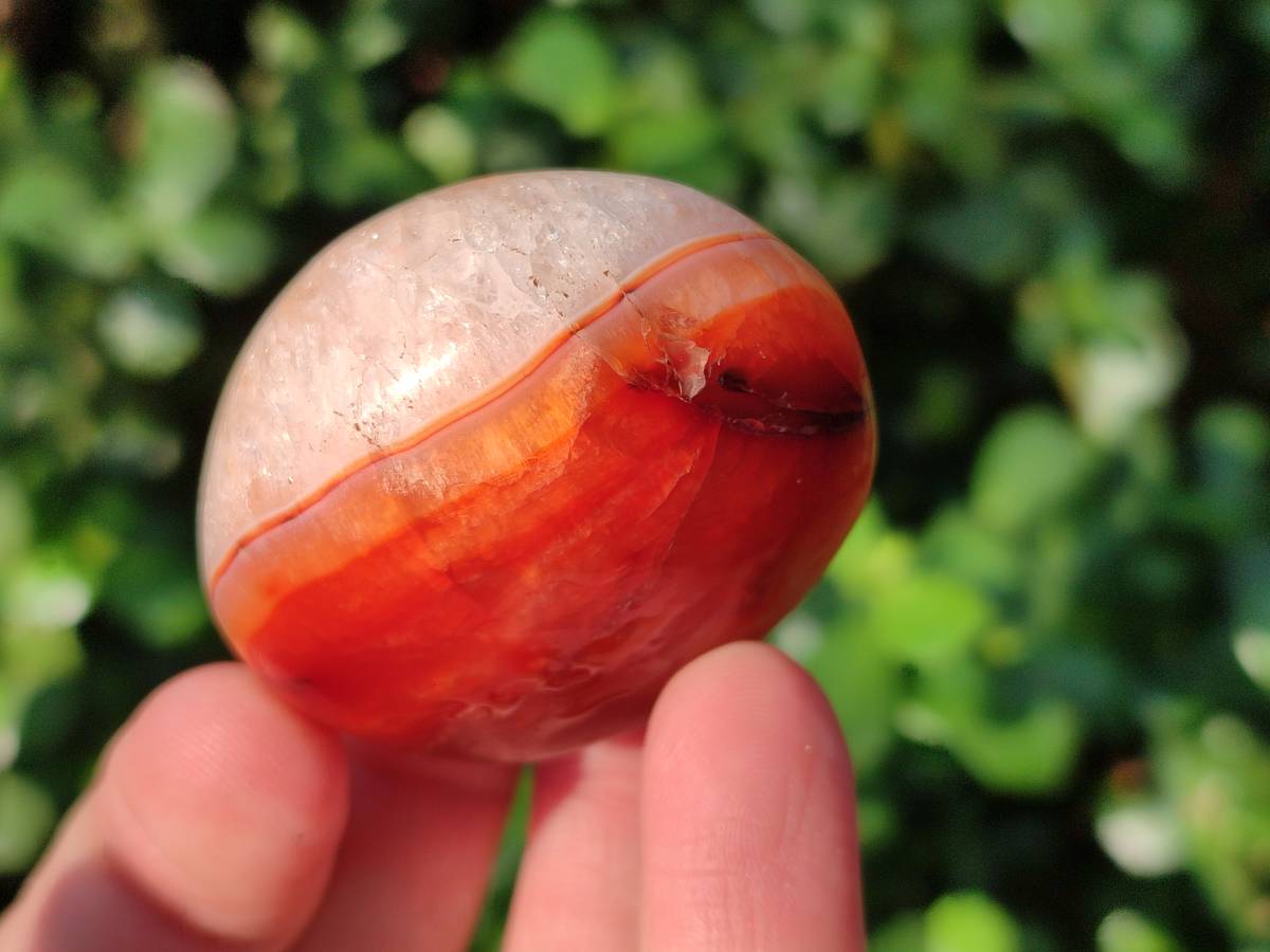Polished Carnelian Agate Palm Stones x 20 From Madagascar - Toprock Gemstones and Minerals 
