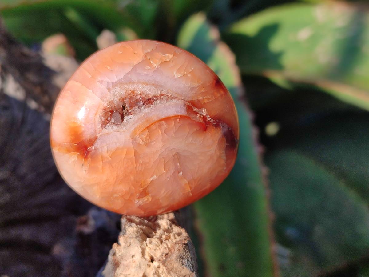 Polished Carnelian Agate Palm Stones x 20 From Madagascar - Toprock Gemstones and Minerals 
