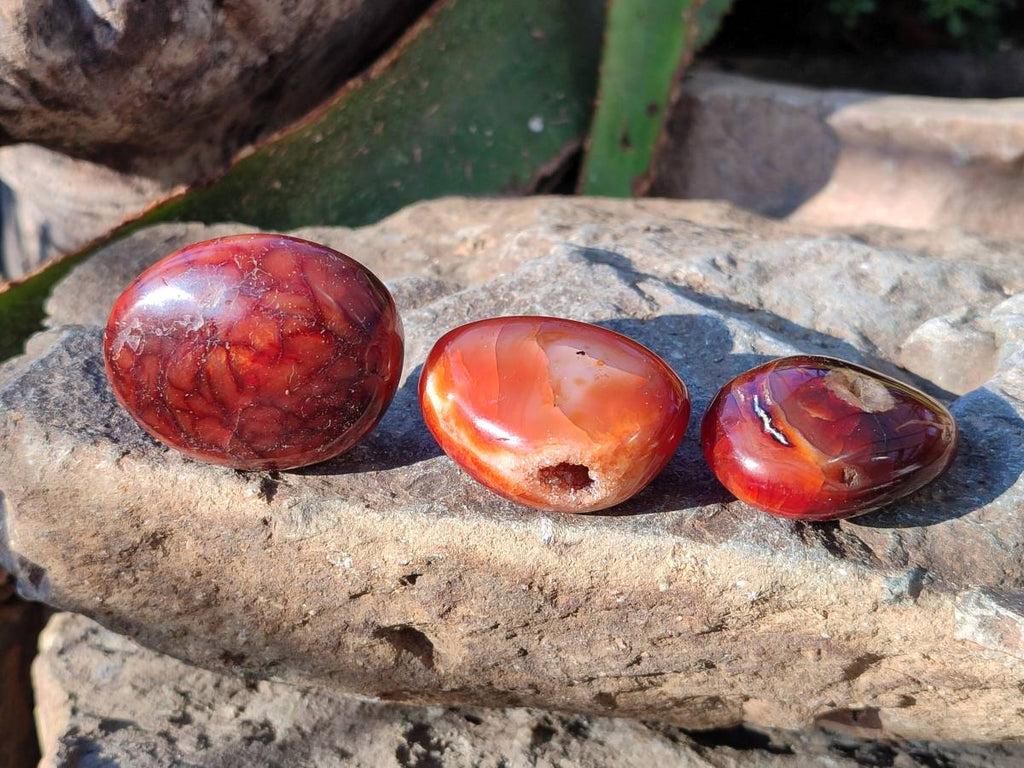 Polished Carnelian Agate Palm Stones x 20 From Madagascar - Toprock Gemstones and Minerals 