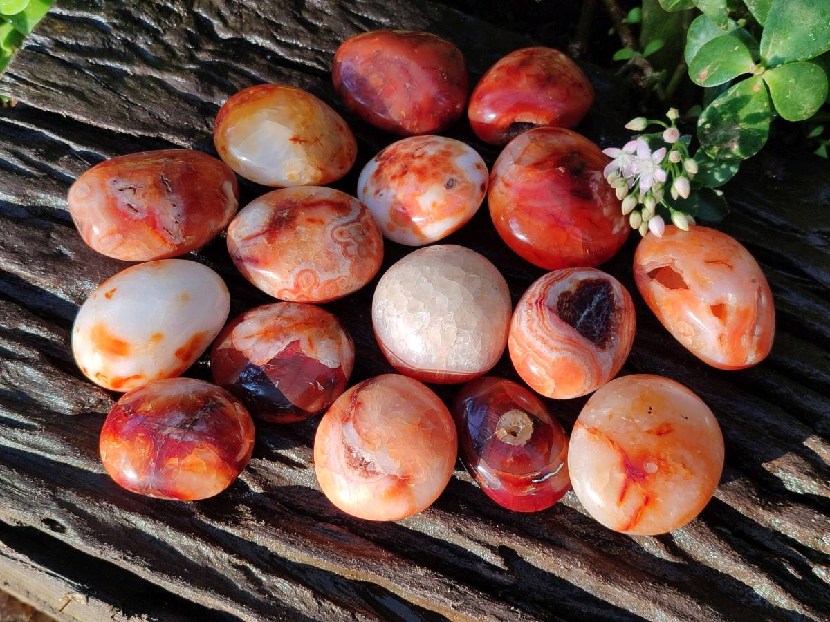 Polished Carnelian Agate Palm Stones x 20 From Madagascar - Toprock Gemstones and Minerals 