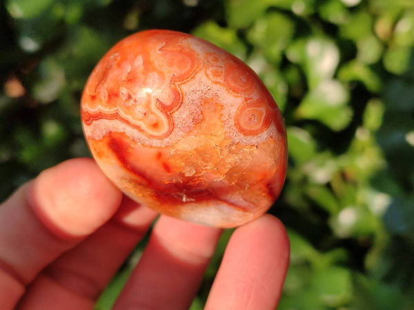 Polished Carnelian Agate Palm Stones x 20 From Madagascar