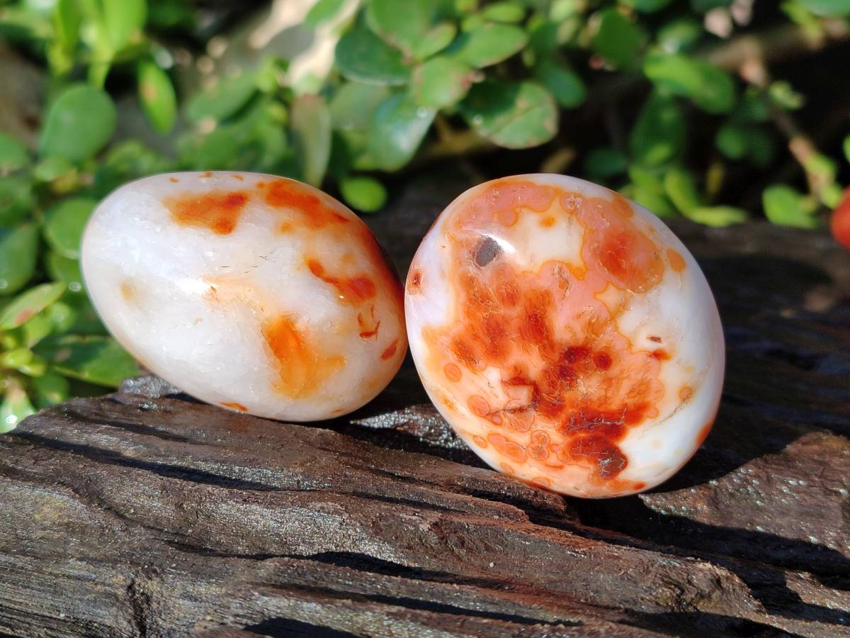 Polished Carnelian Agate Palm Stones x 20 From Madagascar - Toprock Gemstones and Minerals 