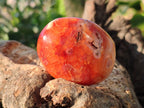 Polished Carnelian Agate Palm Stones x 20 From Madagascar - Toprock Gemstones and Minerals 