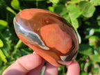 Polished On One Side Polychrome Jasper x 6 From Northwest Coast, Madagascar - Toprock Gemstones and Minerals 