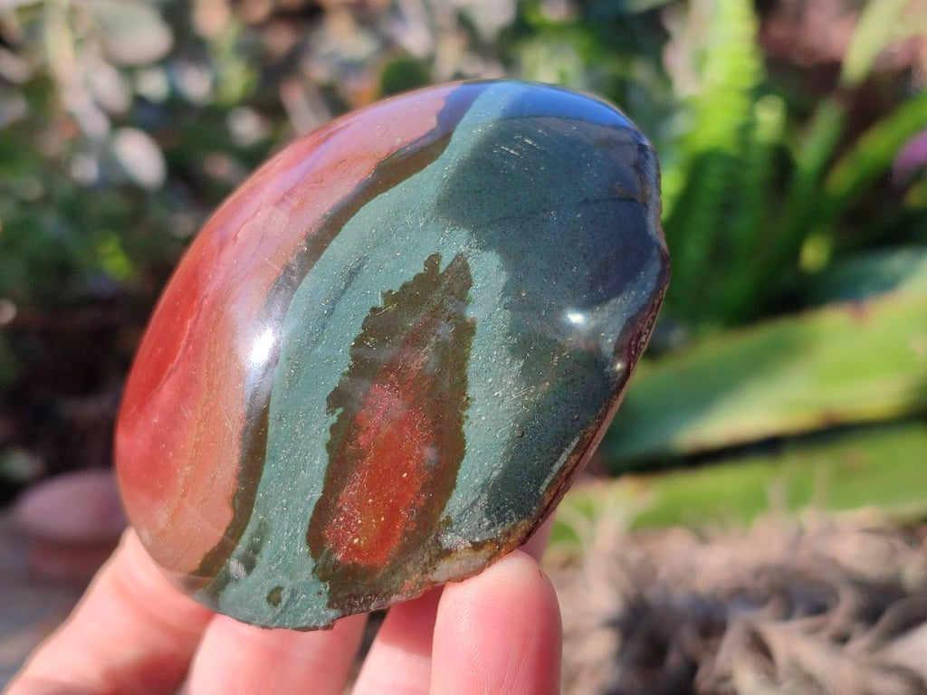 Polished On One Side Polychrome Jasper x 6 From Northwest Coast, Madagascar - Toprock Gemstones and Minerals 