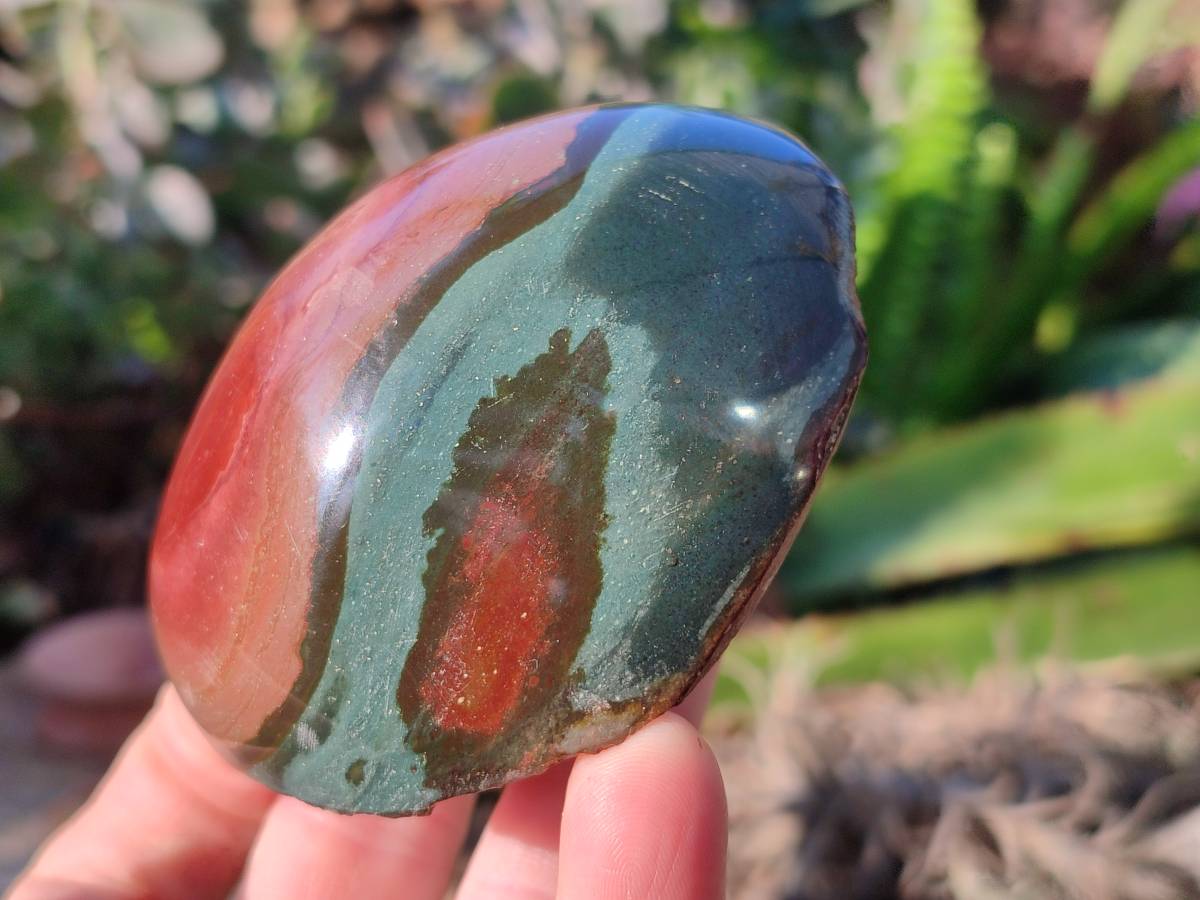 Polished On One Side Polychrome Jasper x 6 From Northwest Coast, Madagascar - Toprock Gemstones and Minerals 