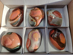 Polished On One Side Polychrome Jasper x 6 From Northwest Coast, Madagascar - Toprock Gemstones and Minerals 