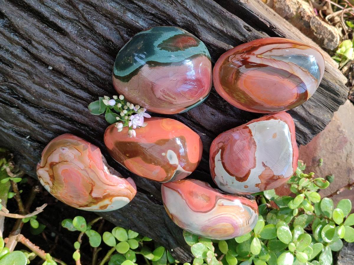 Polished On One Side Polychrome Jasper x 6 From Northwest Coast, Madagascar - Toprock Gemstones and Minerals 