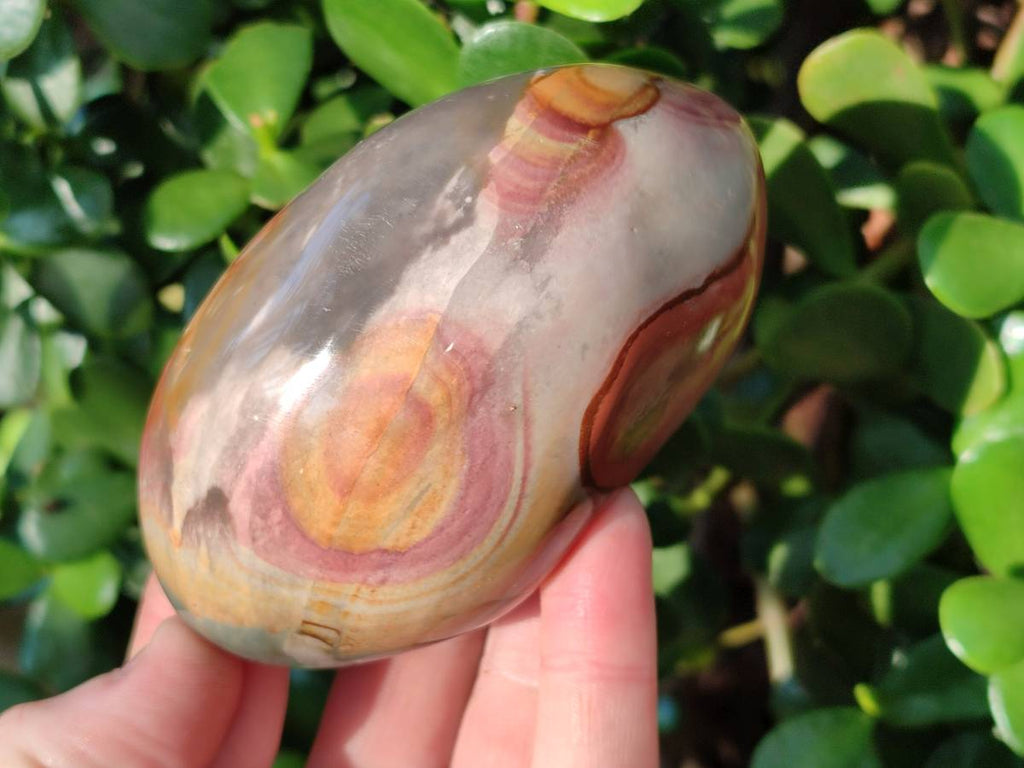Polished On One Side Polychrome Jasper x 6 From Northwest Coast, Madagascar - Toprock Gemstones and Minerals 