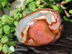 Polished On One Side Polychrome Jasper x 6 From Northwest Coast, Madagascar - Toprock Gemstones and Minerals 