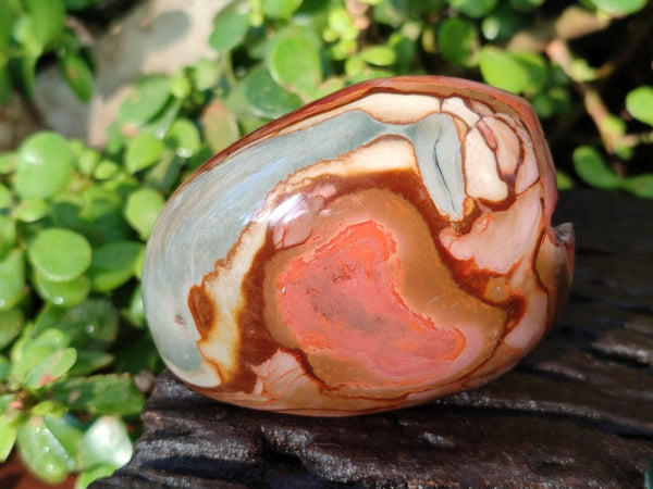 Polished On One Side Polychrome Jasper x 6 From Northwest Coast, Madagascar