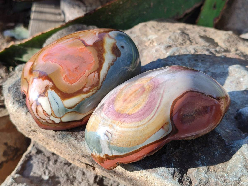 Polished On One Side Polychrome Jasper x 6 From Northwest Coast, Madagascar - Toprock Gemstones and Minerals 