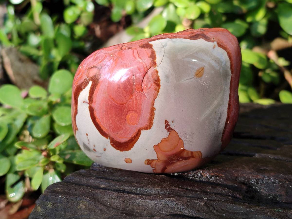 Polished On One Side Polychrome Jasper x 6 From Northwest Coast, Madagascar - Toprock Gemstones and Minerals 