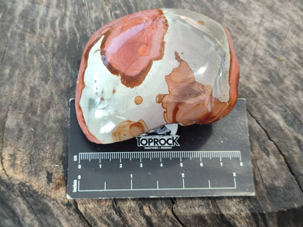Polished On One Side Polychrome Jasper x 6 From Northwest Coast, Madagascar - Toprock Gemstones and Minerals 