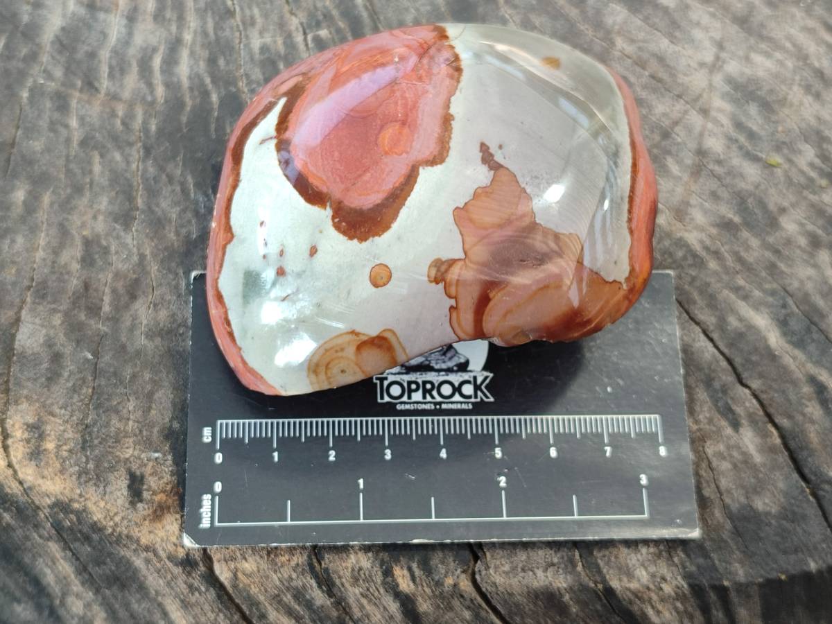 Polished On One Side Polychrome Jasper x 6 From Northwest Coast, Madagascar - Toprock Gemstones and Minerals 