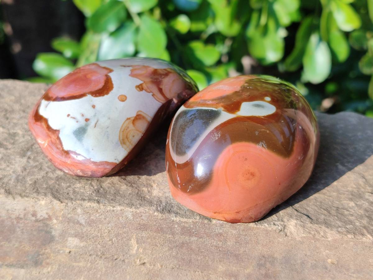 Polished On One Side Polychrome Jasper x 6 From Northwest Coast, Madagascar - Toprock Gemstones and Minerals 