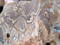Natural Selected Nguni Jasper Cobbed Specimens x 12 From Prieska, South Africa