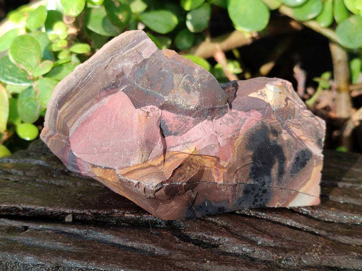 Natural Selected Nguni Jasper Cobbed Specimens x 12 From Prieska, South Africa - Toprock Gemstones and Minerals 