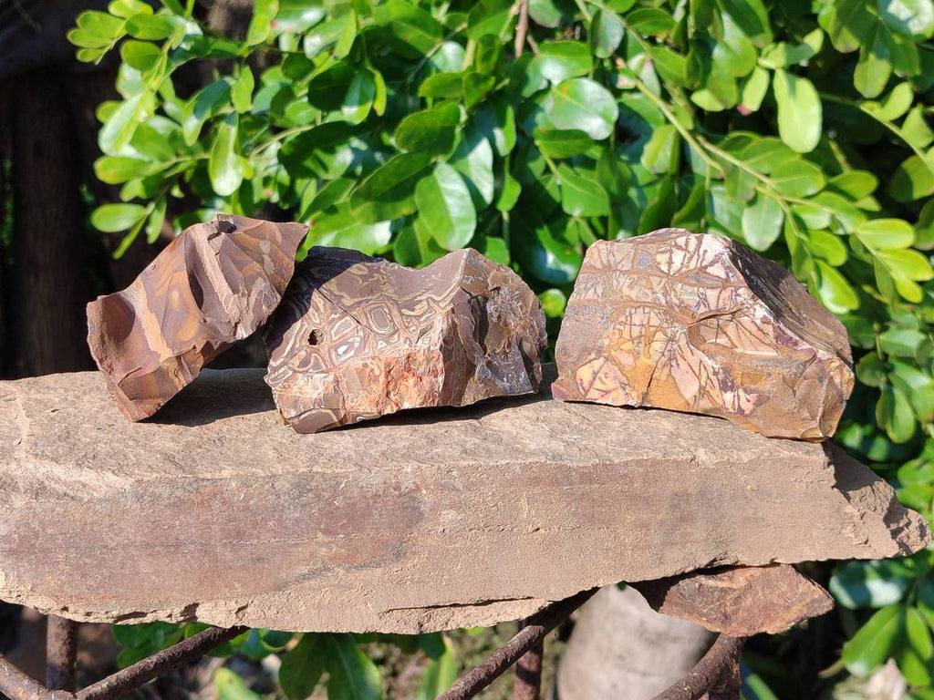 Natural Selected Nguni Jasper Cobbed Specimens x 12 From Prieska, South Africa - Toprock Gemstones and Minerals 