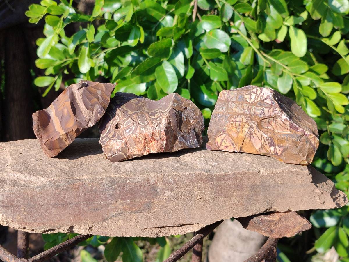 Natural Selected Nguni Jasper Cobbed Specimens x 12 From Prieska, South Africa - Toprock Gemstones and Minerals 