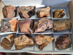 Natural Selected Nguni Jasper Cobbed Specimens x 12 From Prieska, South Africa - Toprock Gemstones and Minerals 