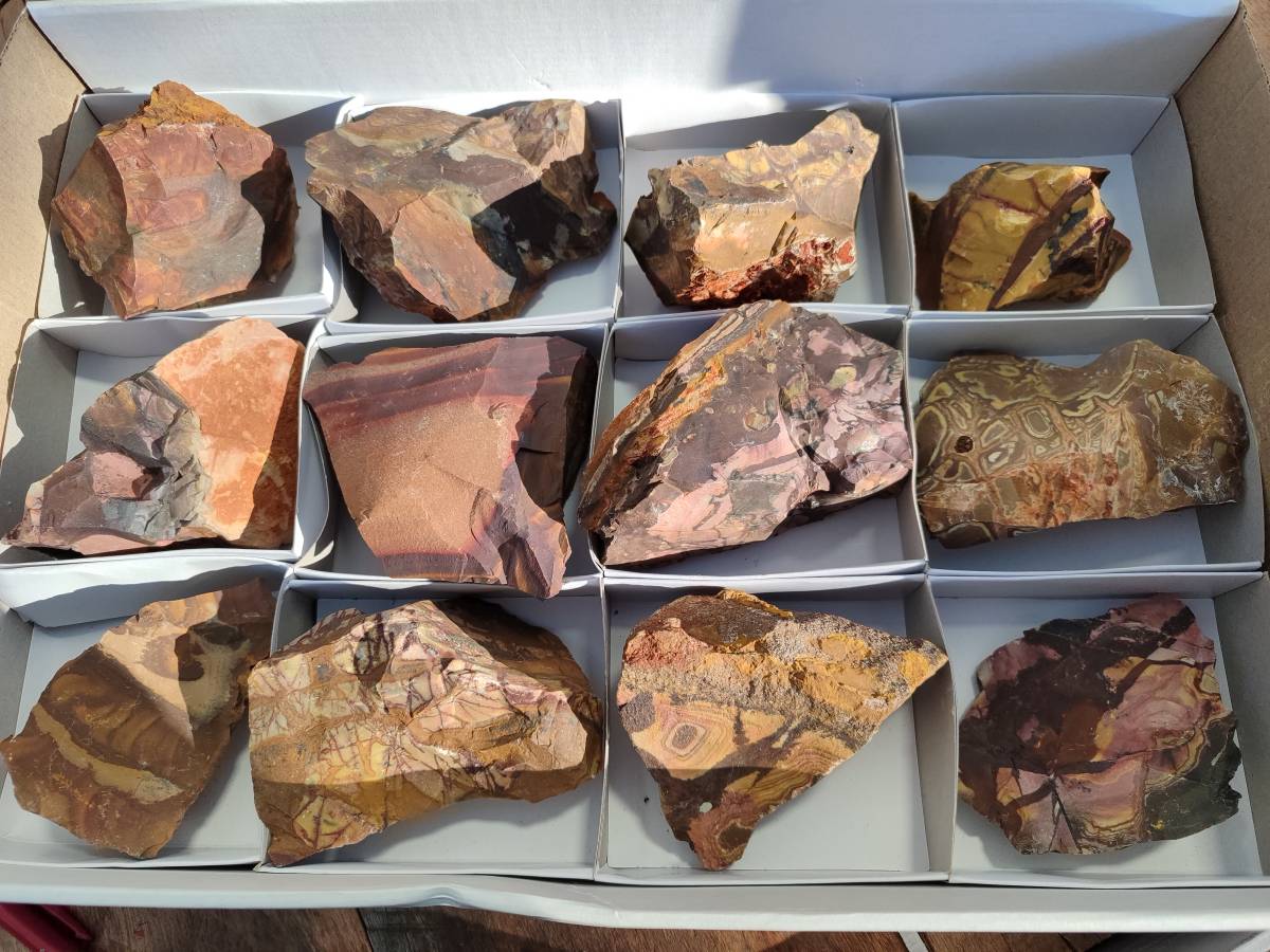 Natural Selected Nguni Jasper Cobbed Specimens x 12 From Prieska, South Africa - Toprock Gemstones and Minerals 