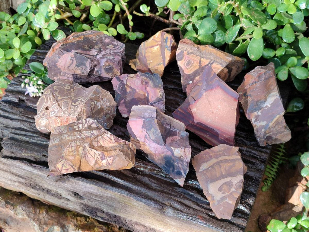 Natural Selected Nguni Jasper Cobbed Specimens x 12 From Prieska, South Africa - Toprock Gemstones and Minerals 