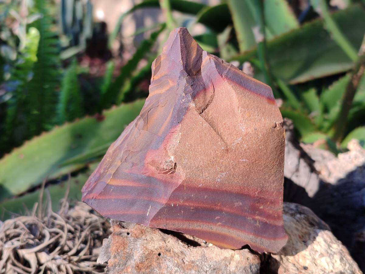 Natural Selected Nguni Jasper Cobbed Specimens x 12 From Prieska, South Africa - Toprock Gemstones and Minerals 