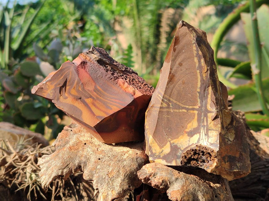Natural Selected Nguni Jasper Cobbed Specimens x 12 From Prieska, South Africa - Toprock Gemstones and Minerals 