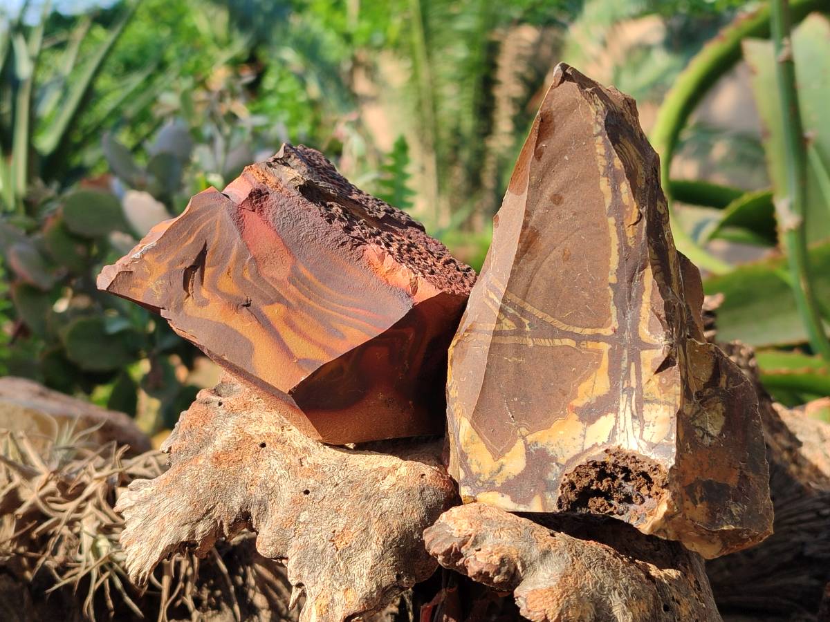 Natural Selected Nguni Jasper Cobbed Specimens x 12 From Prieska, South Africa - Toprock Gemstones and Minerals 