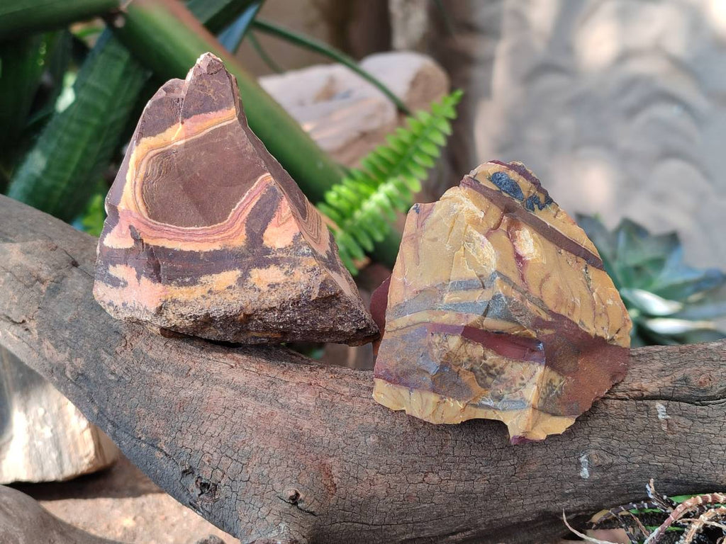 Natural Selected Nguni Jasper Cobbed Specimens x 12 From Prieska, South Africa - Toprock Gemstones and Minerals 