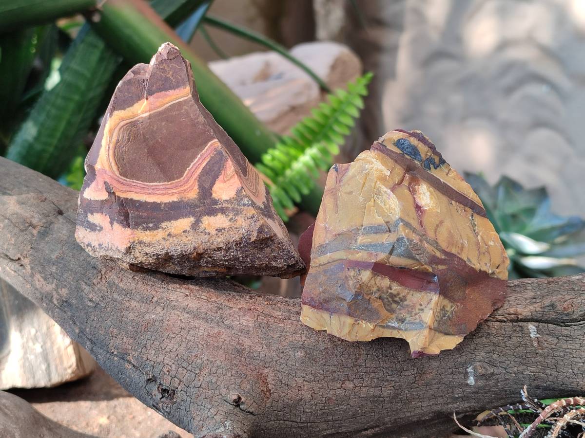 Natural Selected Nguni Jasper Cobbed Specimens x 12 From Prieska, South Africa - Toprock Gemstones and Minerals 