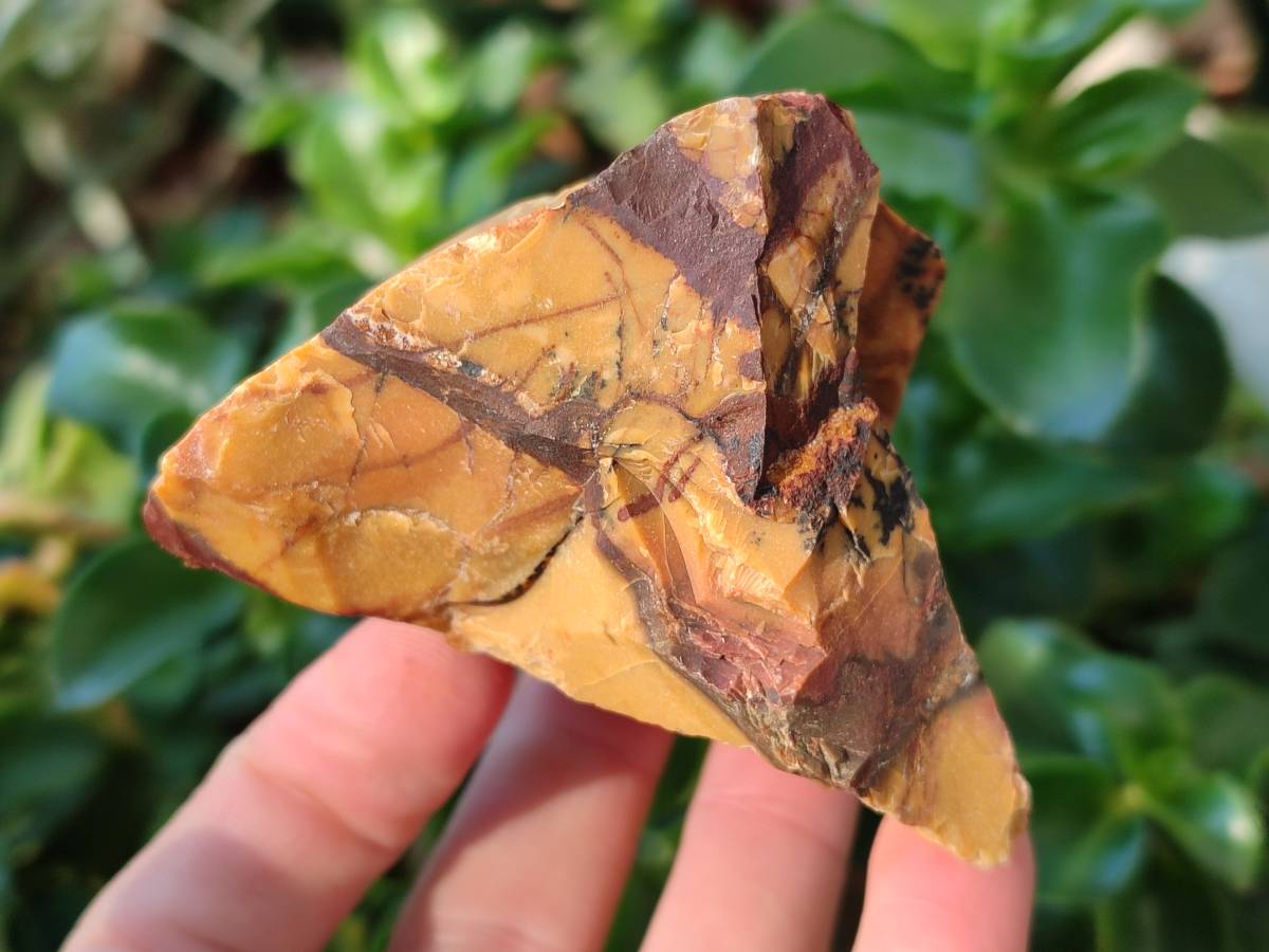 Natural Selected Nguni Jasper Cobbed Specimens x 12 From Prieska, South Africa - Toprock Gemstones and Minerals 