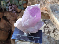 Natural Jacaranda Amethyst Quartz Crystals x 6 From Mumbwa, Zambia