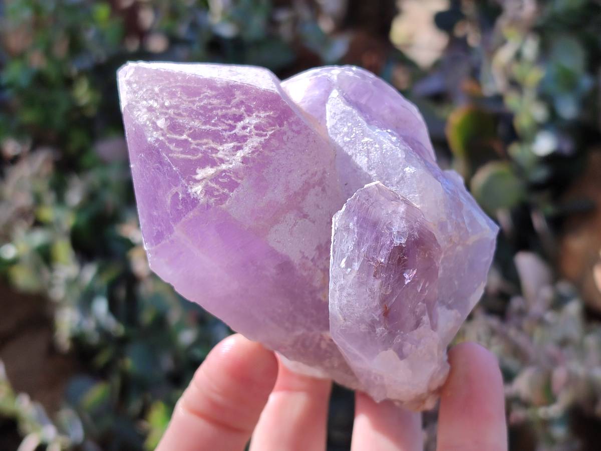 Natural Jacaranda Amethyst Quartz Crystals x 6 From Mumbwa, Zambia - Toprock Gemstones and Minerals 