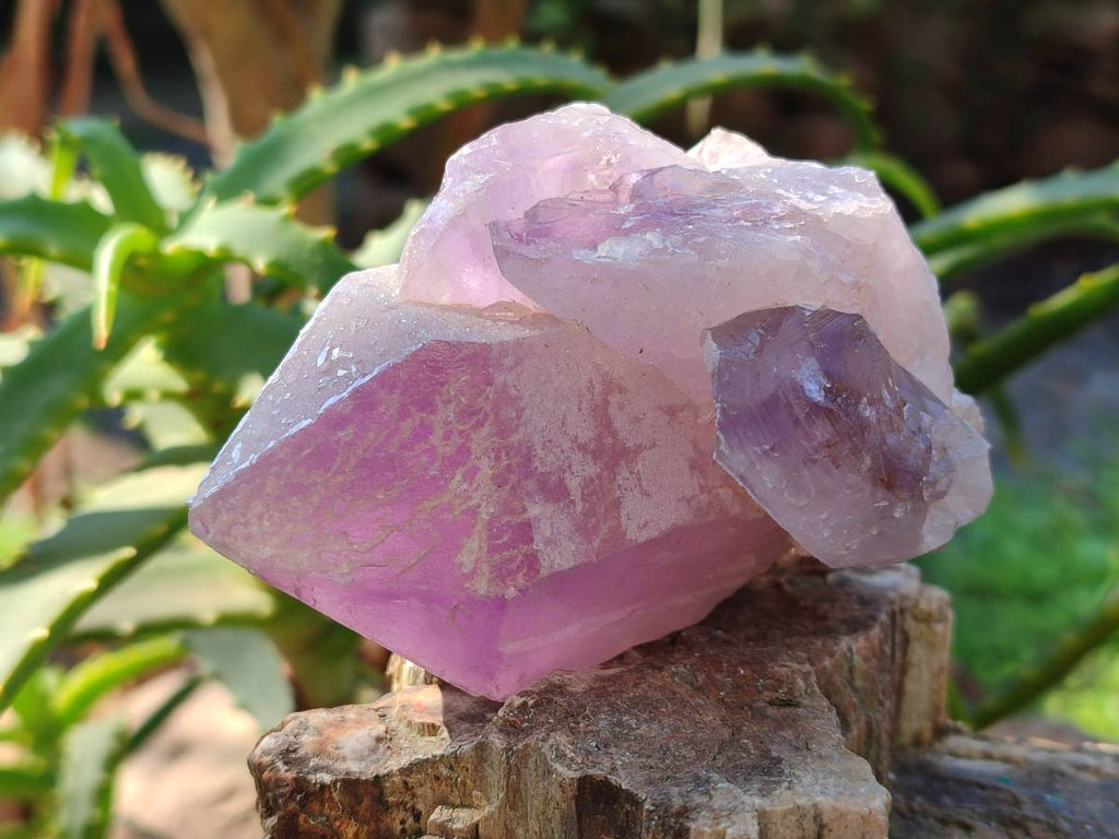 Natural Jacaranda Amethyst Quartz Crystals x 6 From Mumbwa, Zambia - Toprock Gemstones and Minerals 