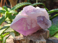Natural Jacaranda Amethyst Quartz Crystals x 6 From Mumbwa, Zambia