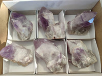 Natural Jacaranda Amethyst Quartz Crystals x 6 From Mumbwa, Zambia