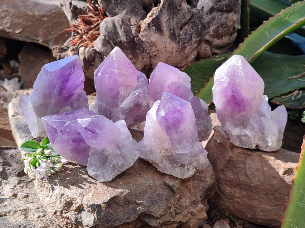 Natural Jacaranda Amethyst Quartz Crystals x 6 From Mumbwa, Zambia - Toprock Gemstones and Minerals 