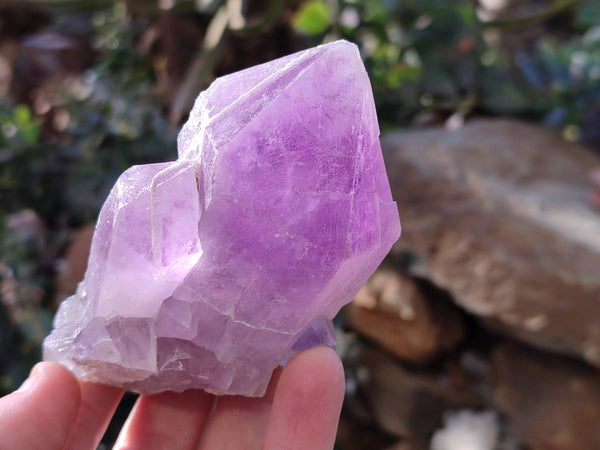 Natural Jacaranda Amethyst Quartz Crystals x 6 From Mumbwa, Zambia