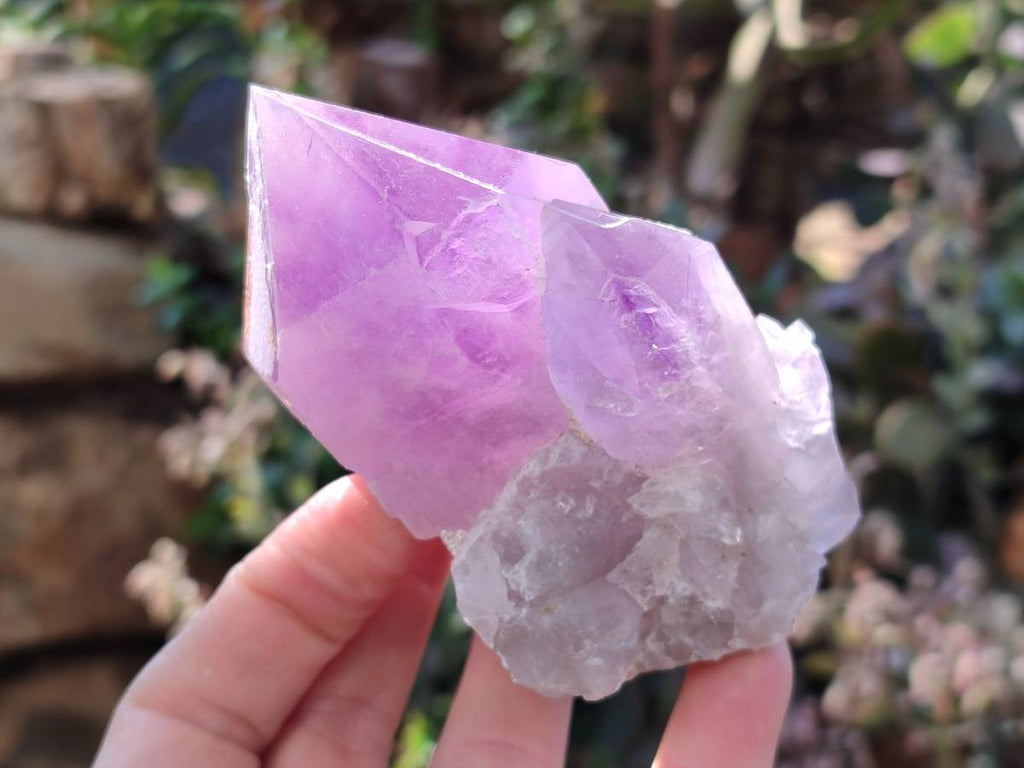 Natural Jacaranda Amethyst Quartz Crystals x 6 From Mumbwa, Zambia - Toprock Gemstones and Minerals 