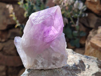 Natural Jacaranda Amethyst Quartz Crystals x 6 From Mumbwa, Zambia