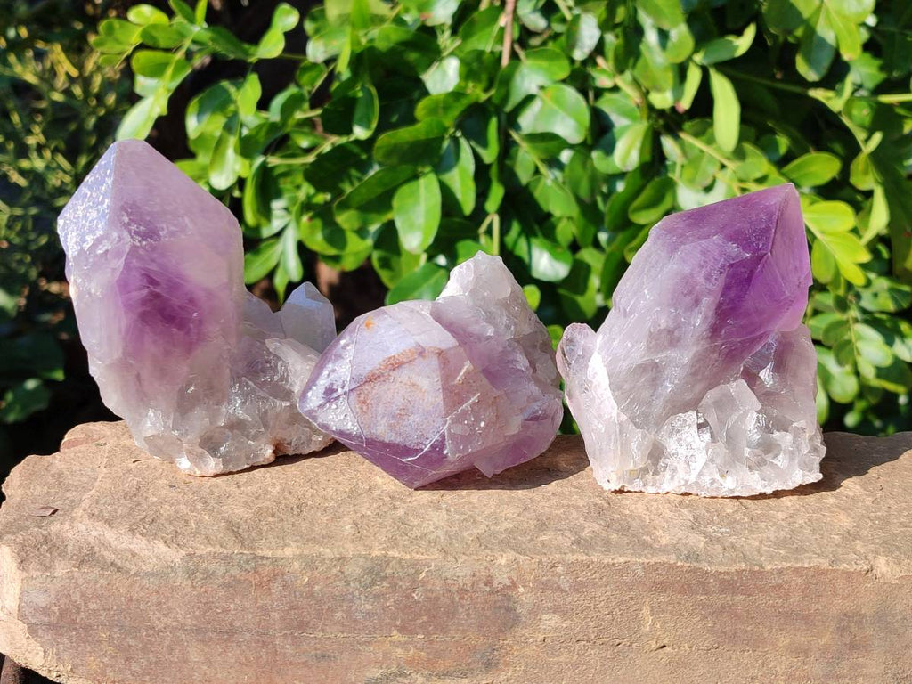 Natural Jacaranda Amethyst Quartz Crystals x 6 From Mumbwa, Zambia - Toprock Gemstones and Minerals 