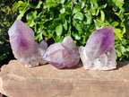 Natural Jacaranda Amethyst Quartz Crystals x 6 From Mumbwa, Zambia - Toprock Gemstones and Minerals 