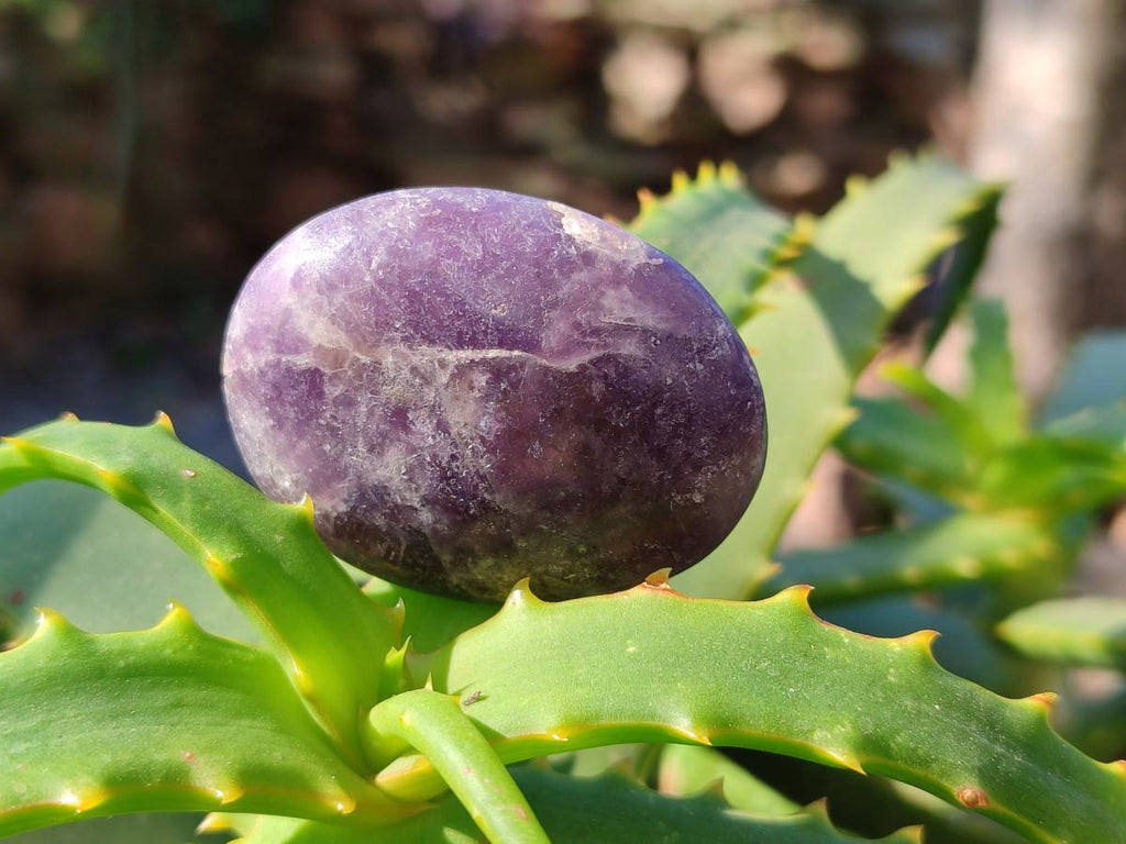 Polished Lepidolite with Pink Rubellite Palm Stones x 20 From Ambatondrazaka, Madagascar - Toprock Gemstones and Minerals 