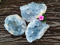 Natural Celestite Specimens x 3 From Sakoany, Madagascar